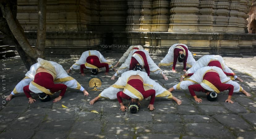 Holistic Wellness
